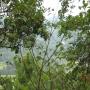 ./10_photos/2010-07-21 08.31.29.jpg